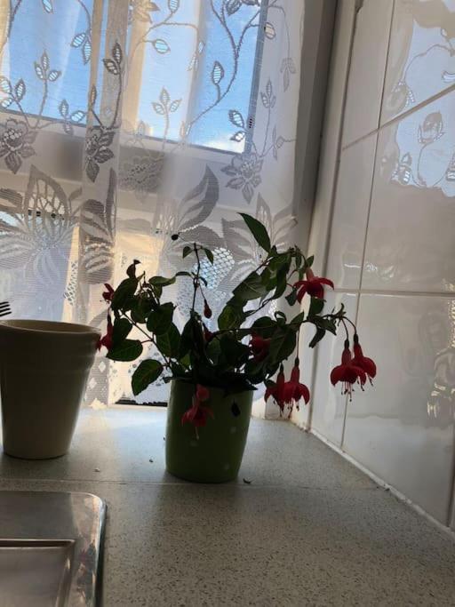 Carpe Diem Rooms Flat Near Zone 1 London Kültér fotó